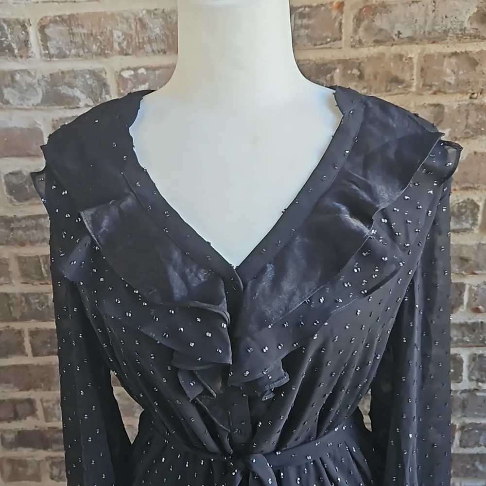 Paige Black Studded Sheer Sleeves Lined Belted Dress - Picture 2 of 5